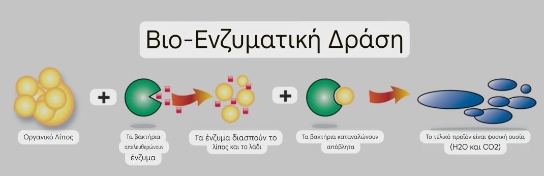 viologikos-katharismos-1